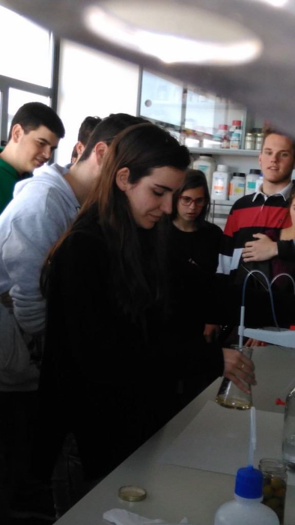 IMG_20160330_113548 copia